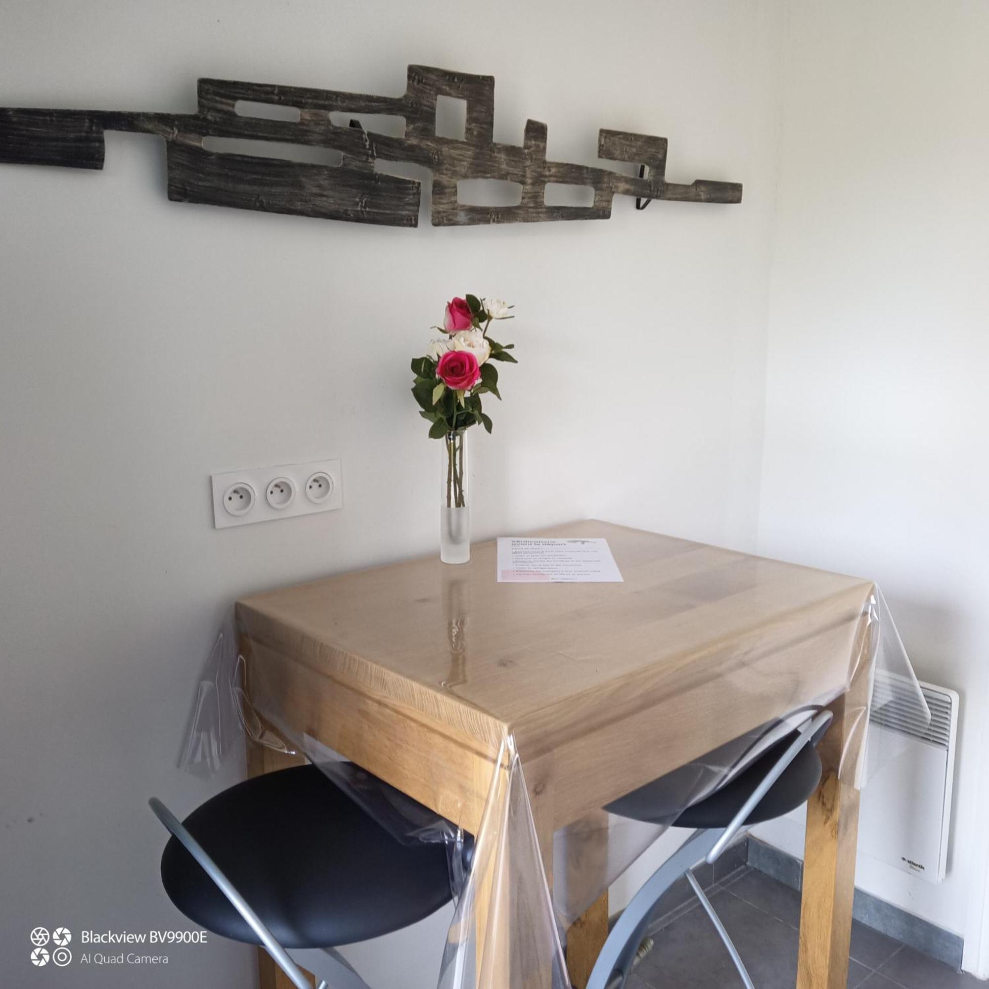 Apartmán La Clematite D'Olt Saint-Côme-dʼOlt Exteriér fotografie